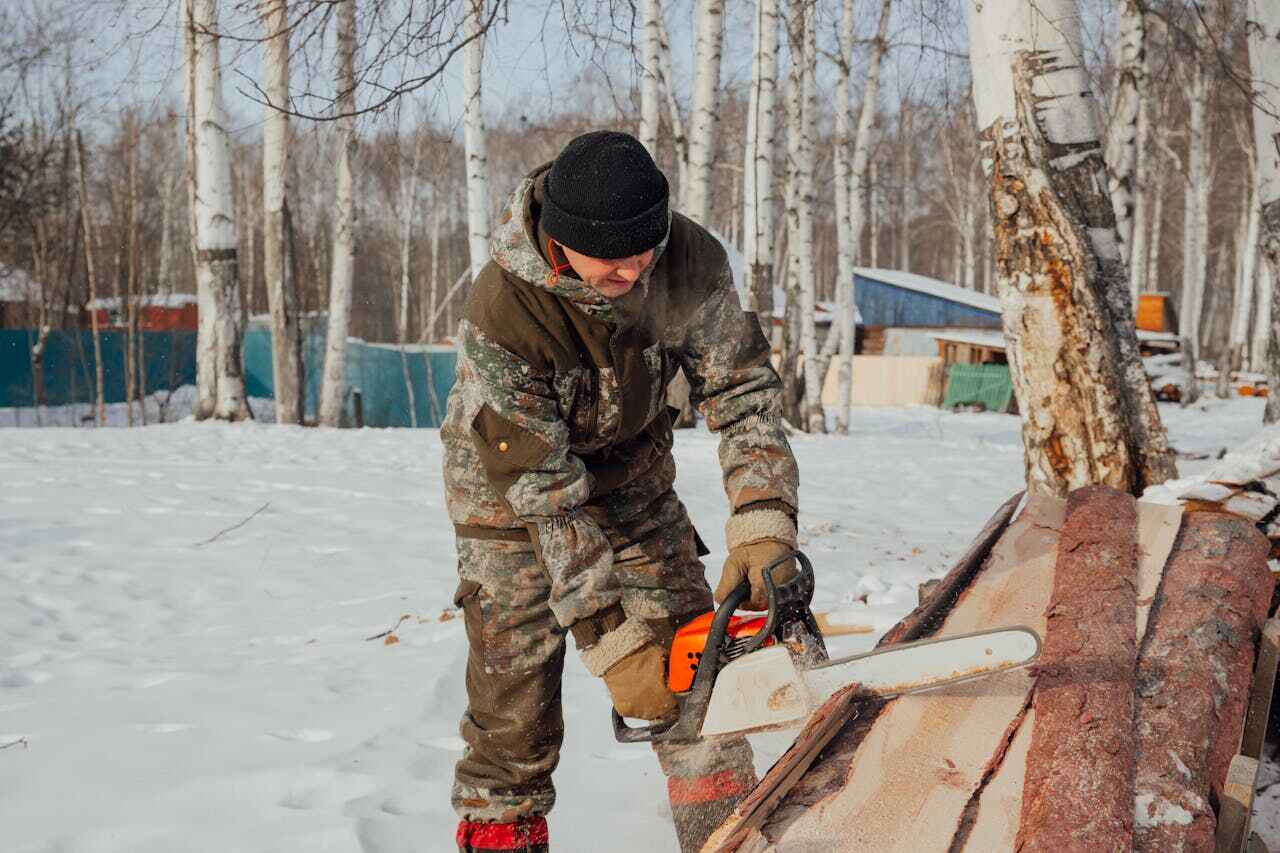 Professional Tree Service in Calvert, TX